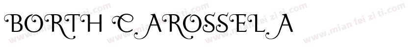 BORTH CAROSSELA字体转换